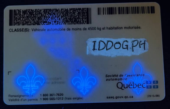 Quebec Fake ID