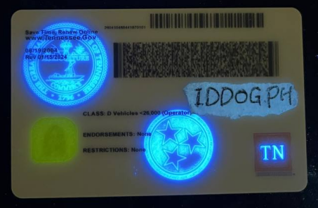 Tennessee (NEW)Fake ID